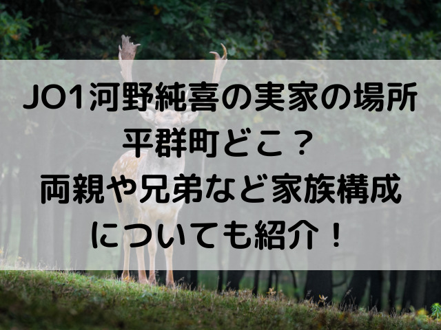 Jo1河野純喜の実家の場所の平群町どこ 両親や兄弟など家族構成についても紹介 とらログ