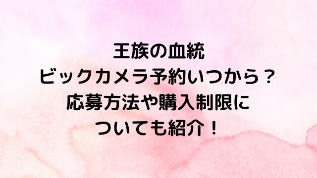 ワンピースカード王族の血統ビックカメラ予約いつからいつまで？応募方法や購入制限についても紹介！