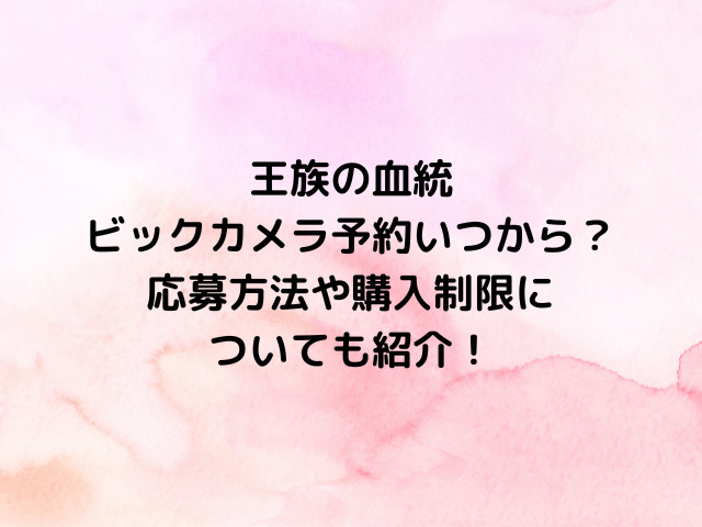 ワンピースカード王族の血統ビックカメラ予約いつからいつまで？応募方法や購入制限についても紹介！